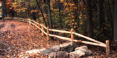 Split Rail Fencing