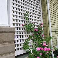 wood pergola with square lattice vine trellis by elyria fence