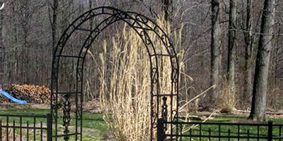 Ornamental Aluminum lakefront fencing  and railing by Elyria Fence Company