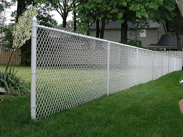 White Vinyl Coated Chain Link Fence