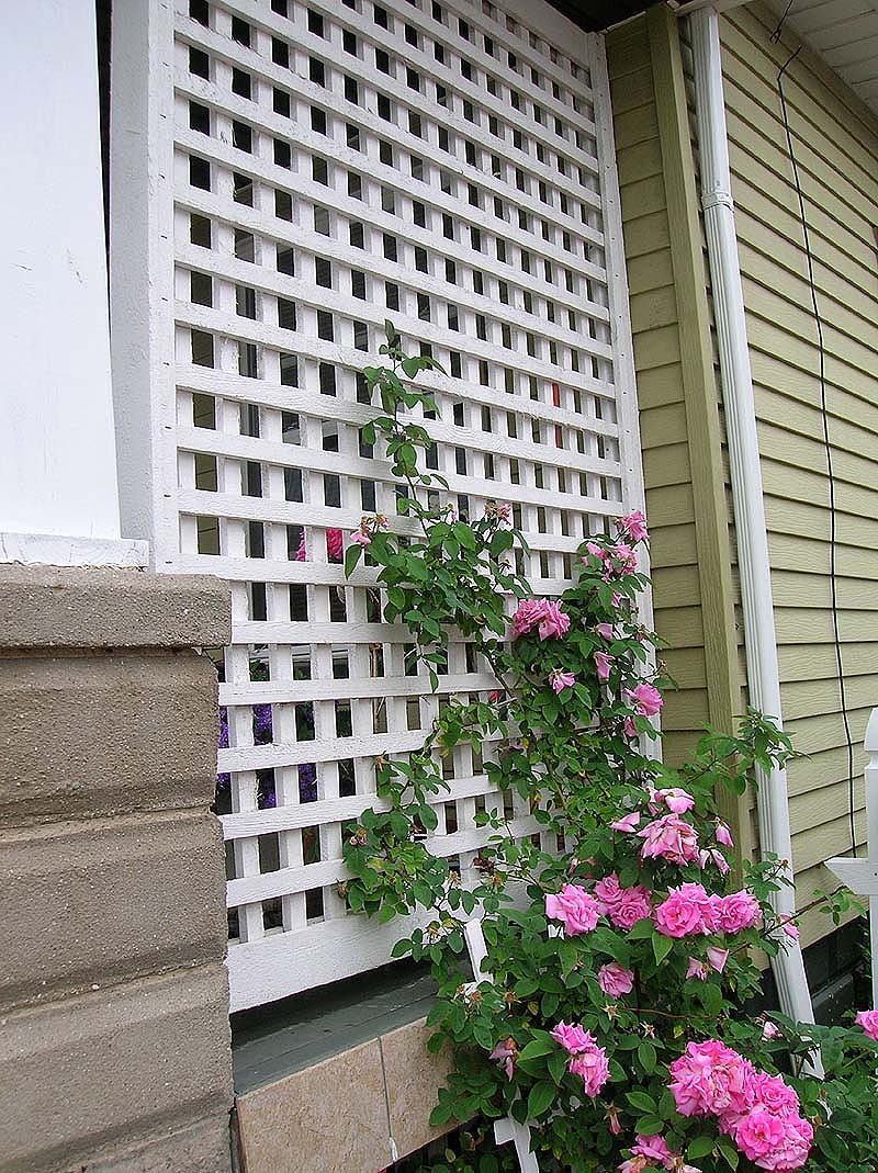 wood square lattice porch rose trellis by Elyria Fence