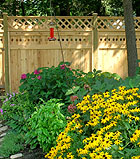 privacy fence with diagonal lattice
